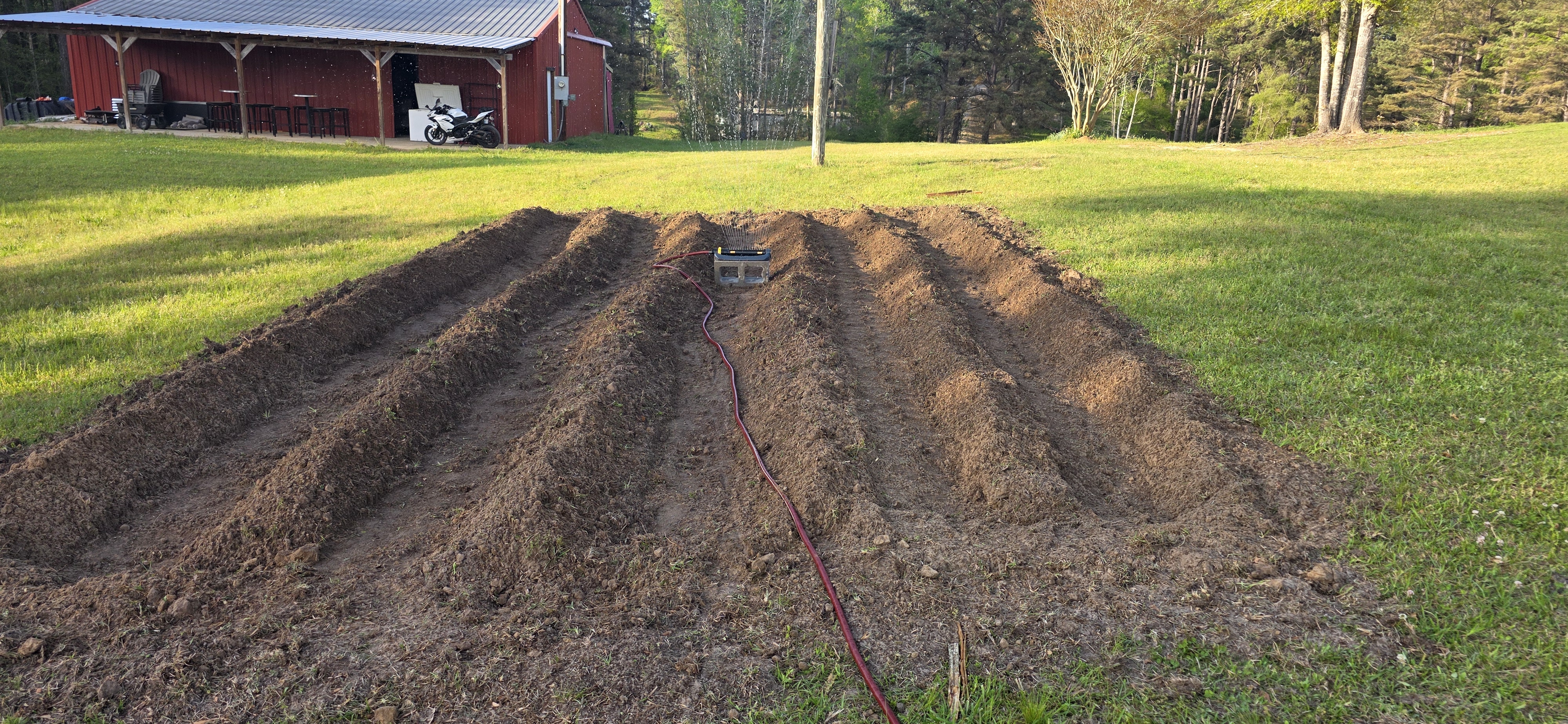 Garden rows near the barn at The Pearl